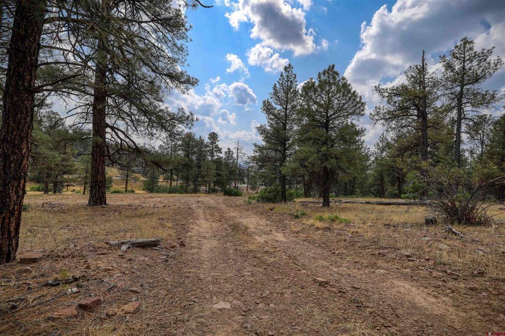 1855 W Us Highway 160 Pagosa Springs CO 81147