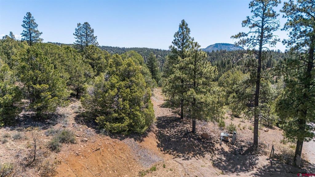 275 Logging Trail Road Durango CO 81303