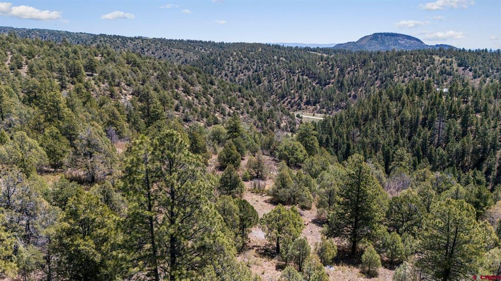 275 Logging Trail Road Durango CO 81303