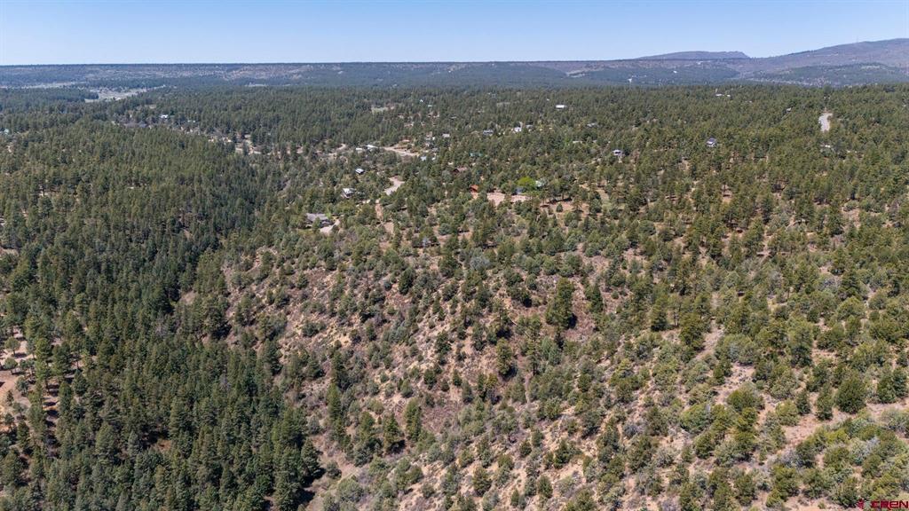 275 Logging Trail Road Durango CO 81303