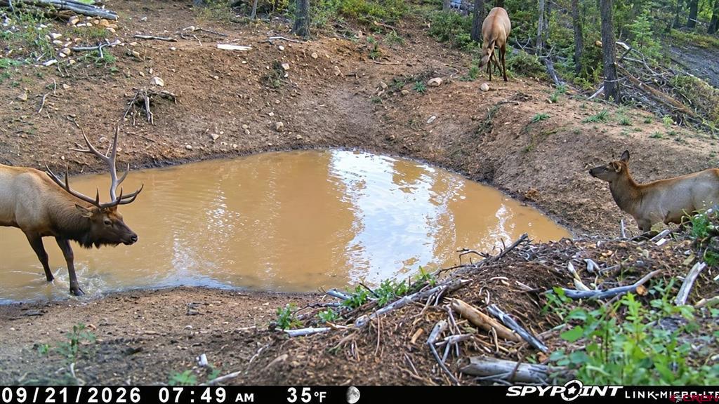 Tbd Government Springs Montrose CO 81403