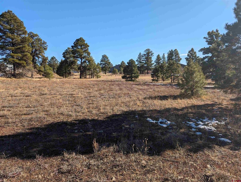 129 Park Avenue Pagosa Springs CO 81147