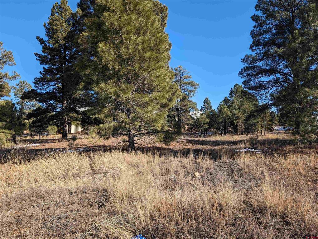 129 Park Avenue Pagosa Springs CO 81147