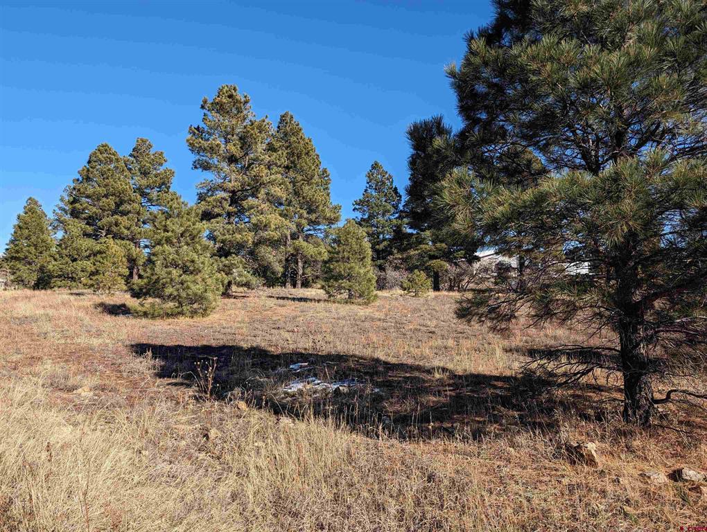 129 Park Avenue Pagosa Springs CO 81147