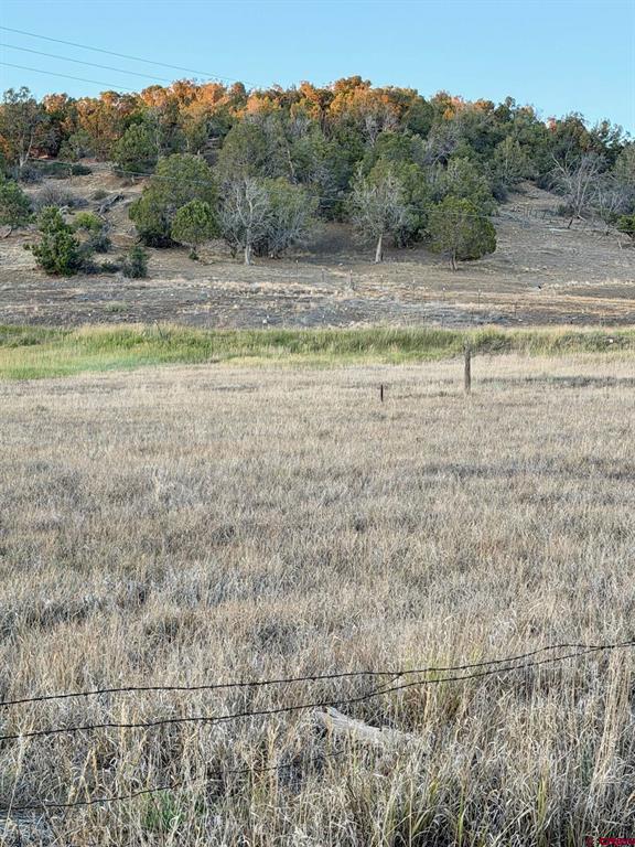 9473 Road 42 Mancos CO 81328