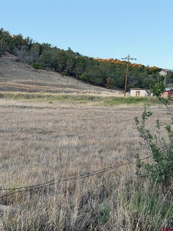 9473 Road 42 Mancos CO 81328