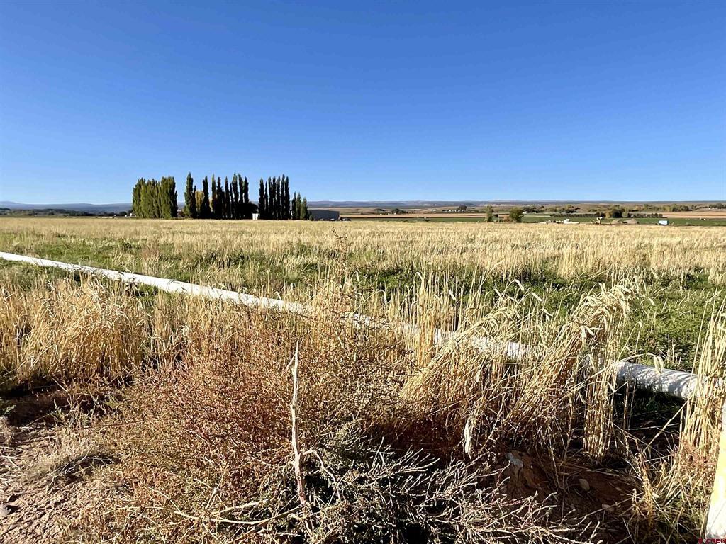 Tbd 5800 Road Montrose CO 81403