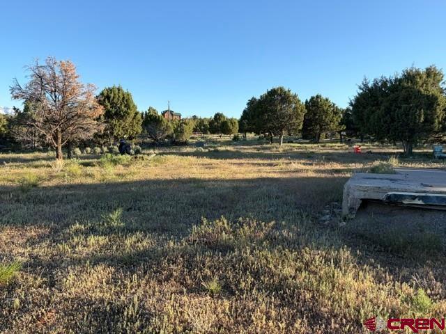 215 County Road 22a Montrose CO 81403