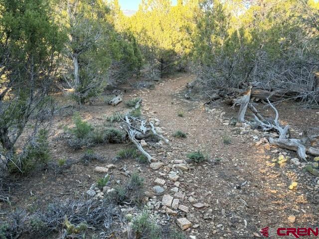 215 County Road 22a Montrose CO 81403