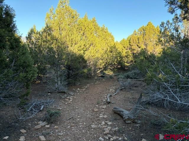 215 County Road 22a Montrose CO 81403