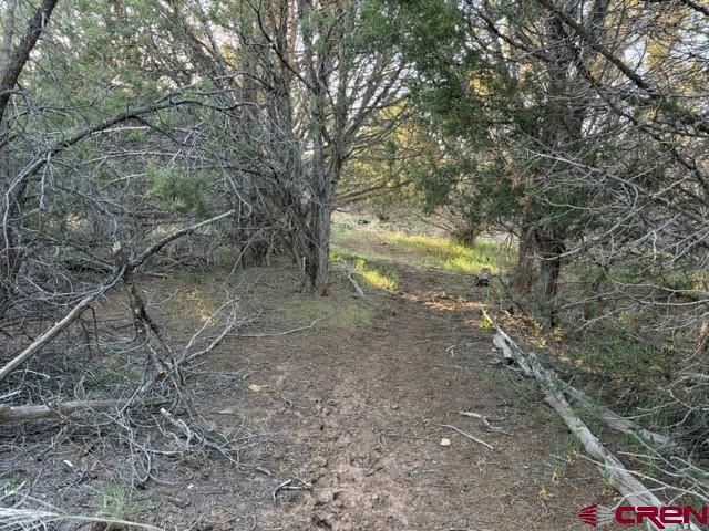 215 County Road 22a Montrose CO 81403