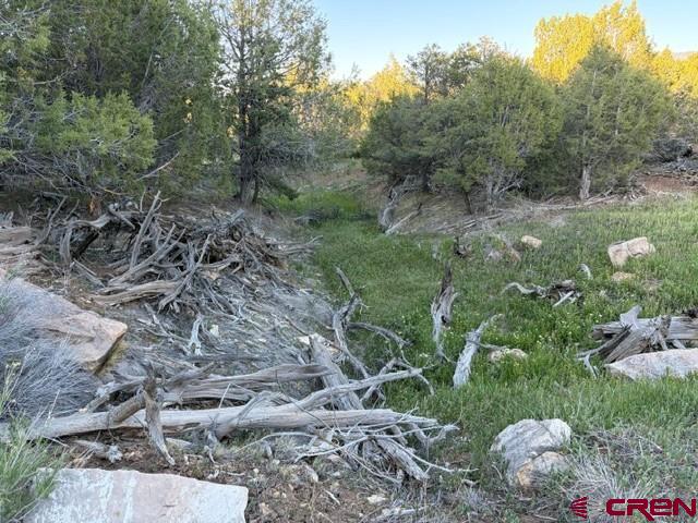 215 County Road 22a Montrose CO 81403