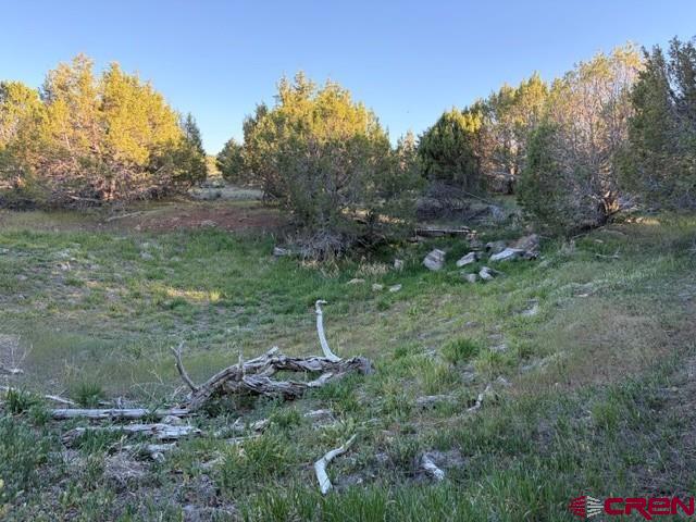 215 County Road 22a Montrose CO 81403
