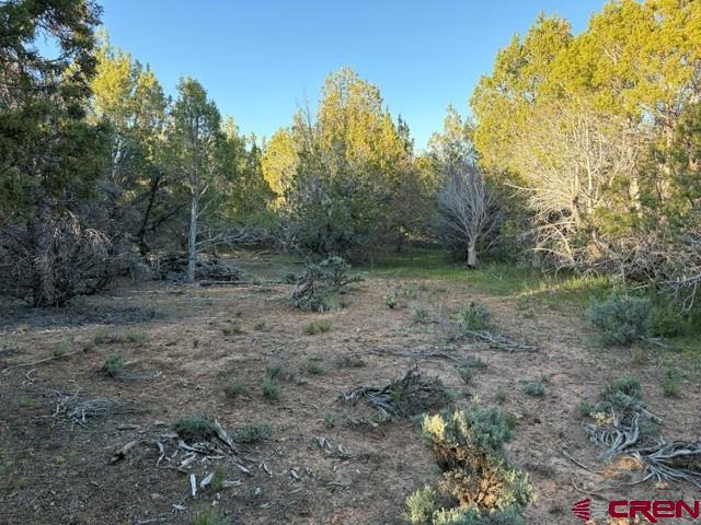 215 County Road 22a Montrose CO 81403