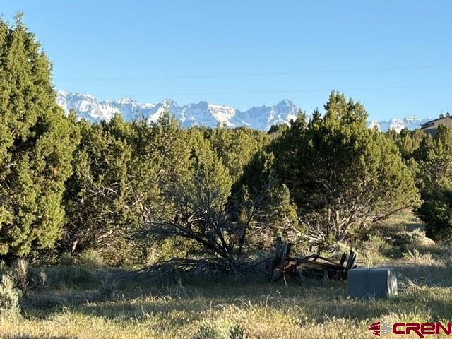 215 County Road 22a Montrose CO 81403