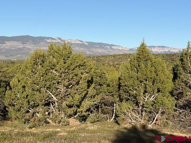 215 County Road 22a Montrose CO 81403