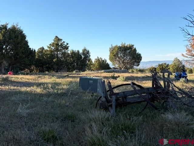 215 County Road 22a Montrose CO 81403