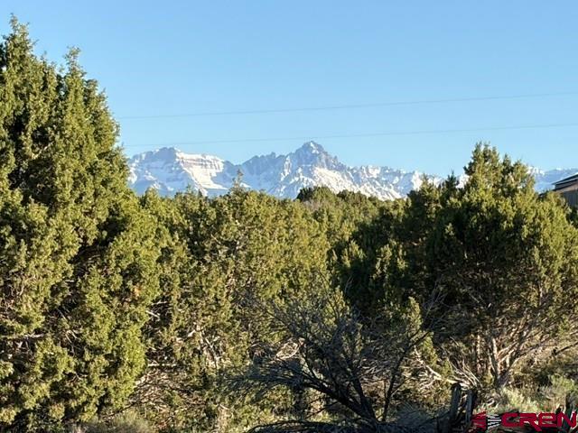 215 County Road 22a Montrose CO 81403