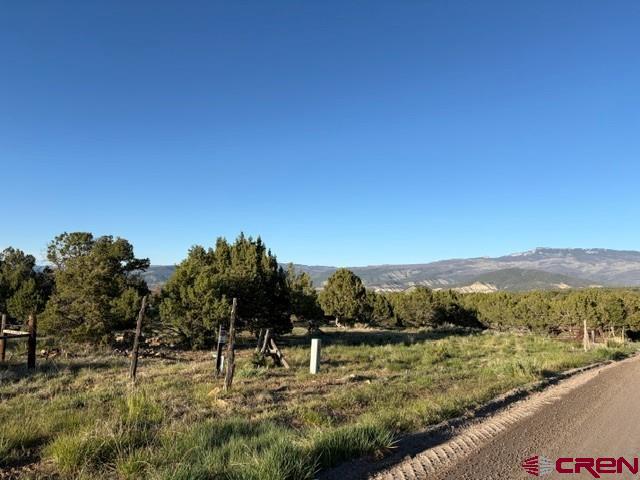 215 County Road 22a Montrose CO 81403