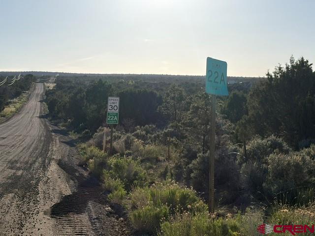 215 County Road 22a Montrose CO 81403