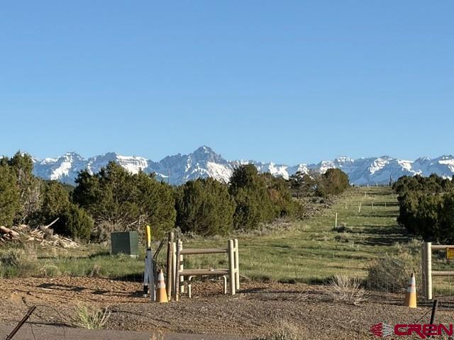 215 County Road 22a Montrose CO 81403