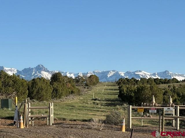 215 County Road 22a Montrose CO 81403