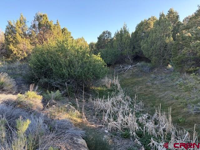 215 County Road 22a Montrose CO 81403