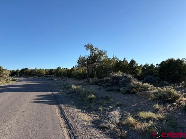 215 County Road 22a Montrose CO 81403
