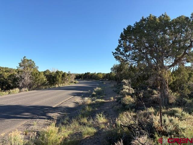 215 County Road 22a Montrose CO 81403