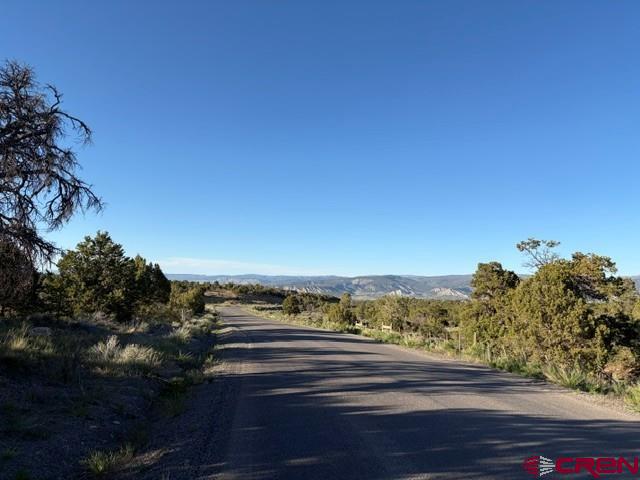 215 County Road 22a Montrose CO 81403