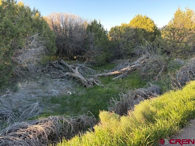 215 County Road 22a Montrose CO 81403