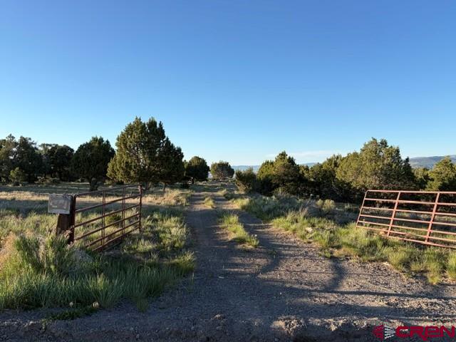 215 County Road 22a Montrose CO 81403