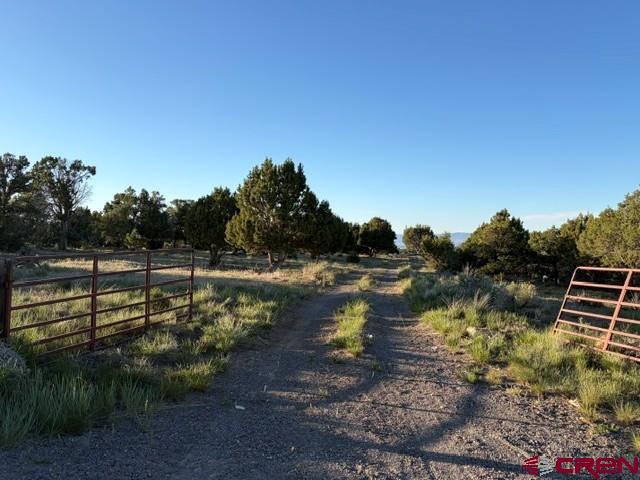 215 County Road 22a Montrose CO 81403