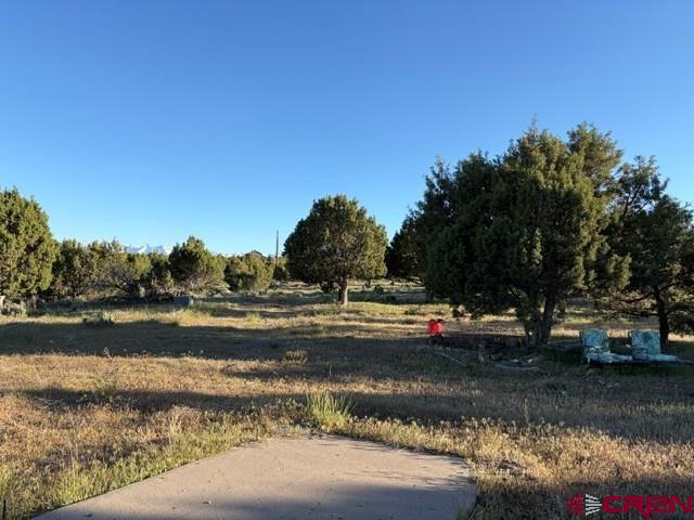215 County Road 22a Montrose CO 81403