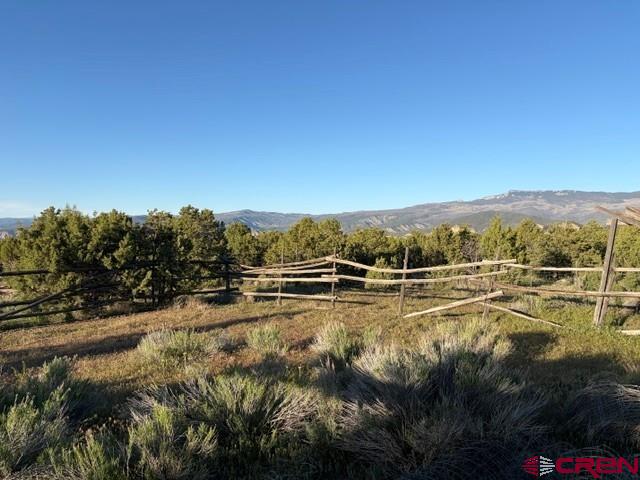 215 County Road 22a Montrose CO 81403