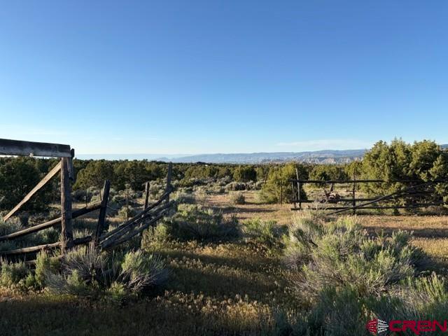 215 County Road 22a Montrose CO 81403
