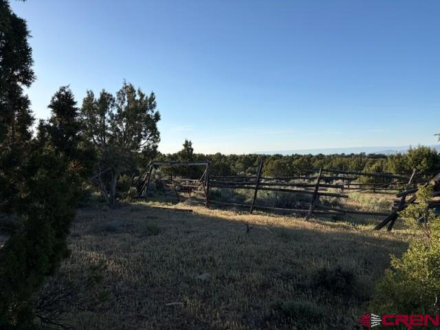 215 County Road 22a Montrose CO 81403