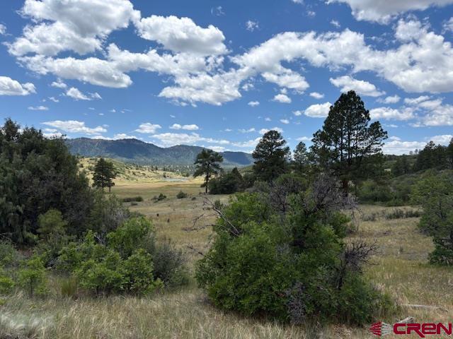 311 E Arbol Park Drive Pagosa Springs CO 81147