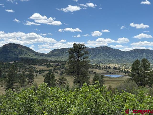 311 E Arbol Park Drive Pagosa Springs CO 81147