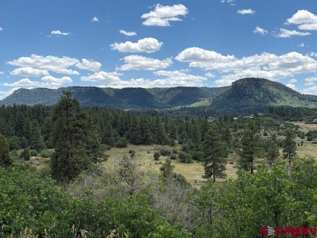 311 E Arbol Park Drive Pagosa Springs CO 81147