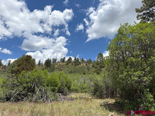 311 E Arbol Park Drive Pagosa Springs CO 81147