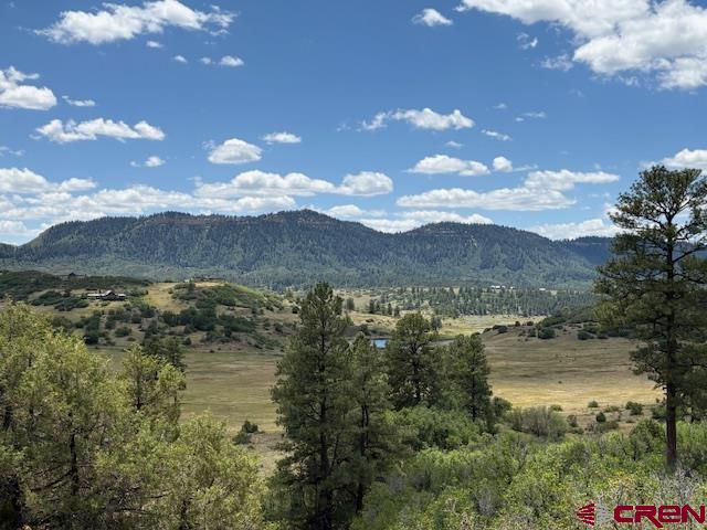 311 E Arbol Park Drive Pagosa Springs CO 81147