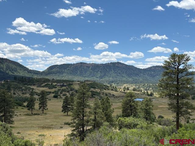 311 E Arbol Park Drive Pagosa Springs CO 81147