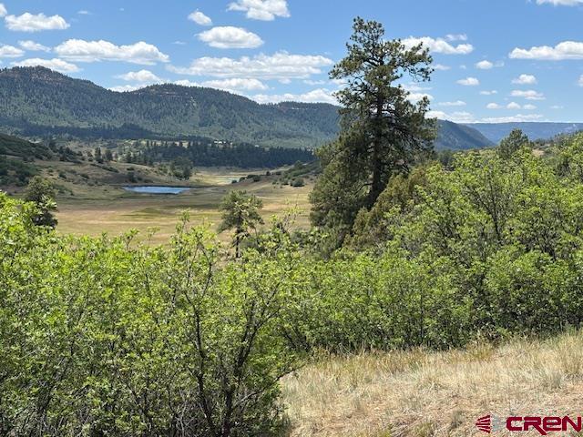 311 E Arbol Park Drive Pagosa Springs CO 81147