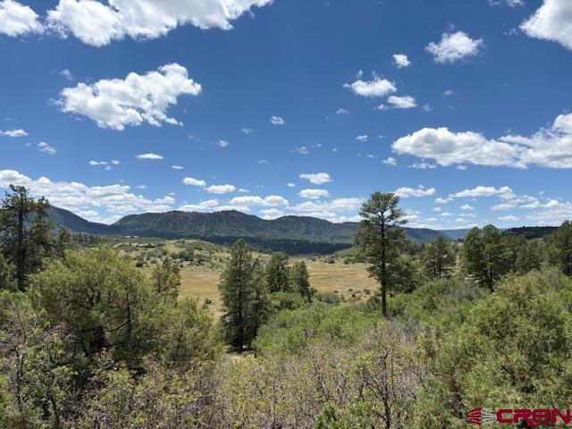 311 E Arbol Park Drive Pagosa Springs CO 81147