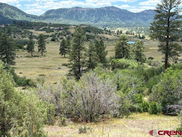 311 E Arbol Park Drive Pagosa Springs CO 81147
