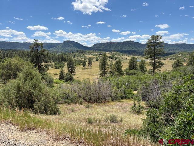 311 E Arbol Park Drive Pagosa Springs CO 81147