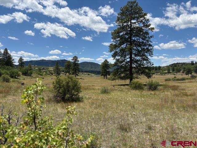 311 E Arbol Park Drive Pagosa Springs CO 81147