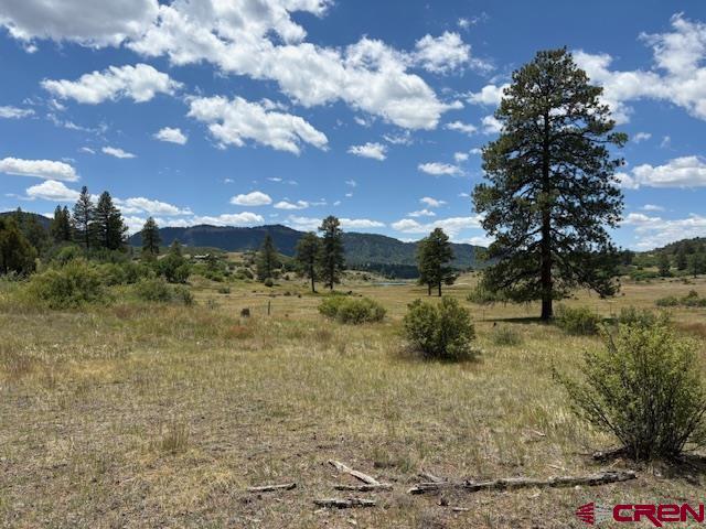 311 E Arbol Park Drive Pagosa Springs CO 81147