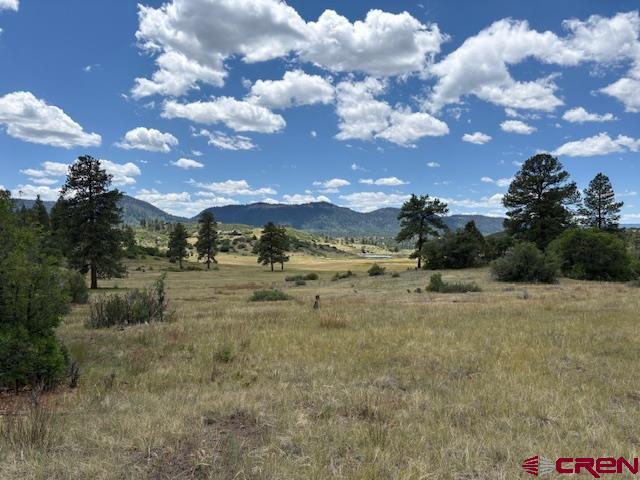 311 E Arbol Park Drive Pagosa Springs CO 81147